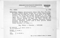 Podosphaera fuliginea image